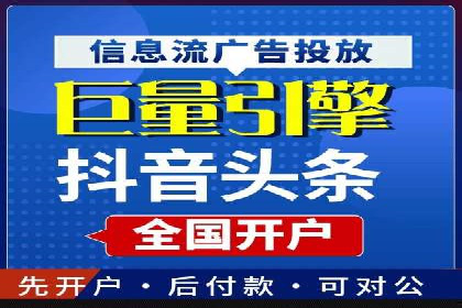解析某某SEM服务公司的广告投放策略与效果评估